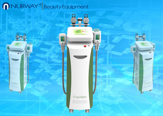 Het Vermageringsdieetmachine van de Cryolipolysis Vette Vorst/de Vette het Bevriezen Cellulite Machine van het Verminderingsvermageringsdieet